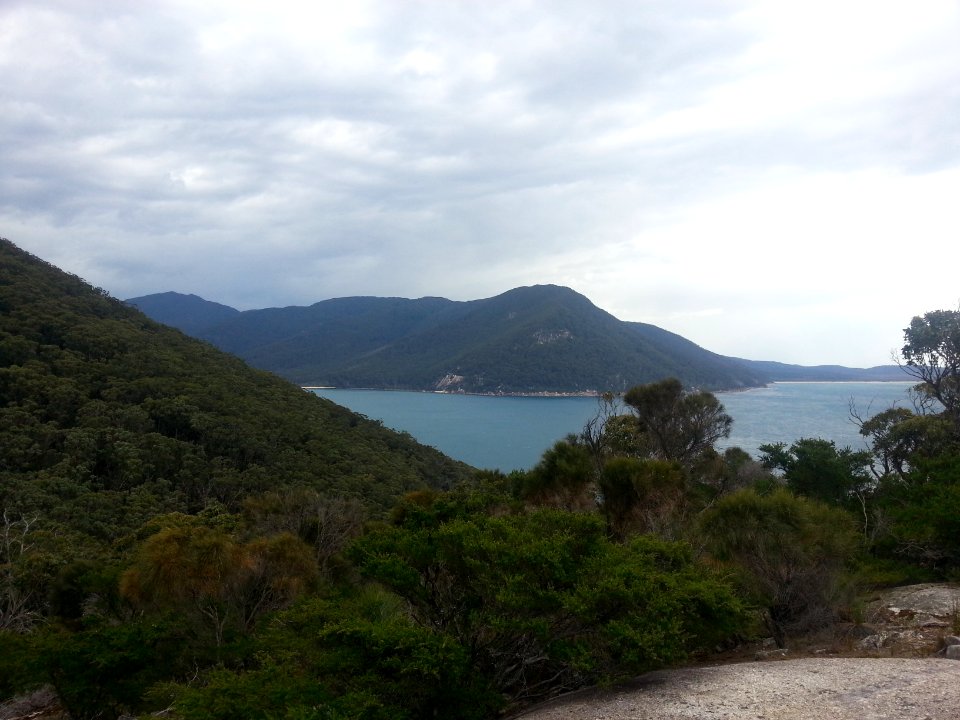 Sealers Cove to Refuge Cove walking track, Wilsons Promontory National Park 09