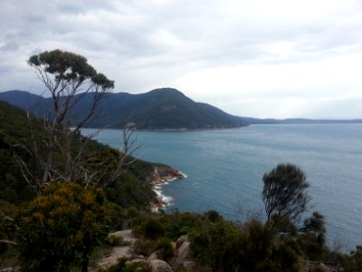 Sealers Cove to Refuge Cove walking track, Wilsons Promontory National Park 07