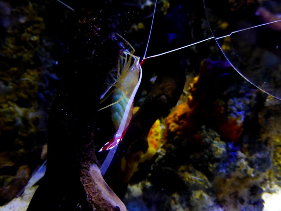 Sealife-Munich-23