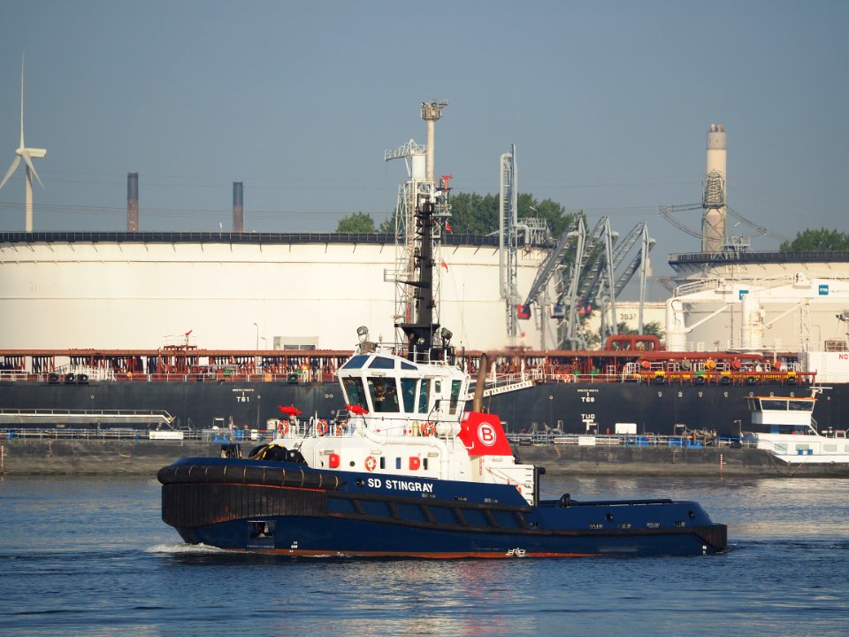 SD Stingray (tugboat, 2008) IMO 9448176, Port of Rotterdam pic5