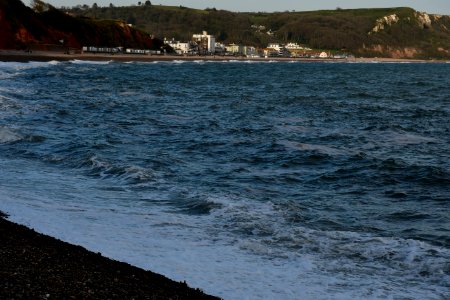 Seaton (2021-04-24) 49