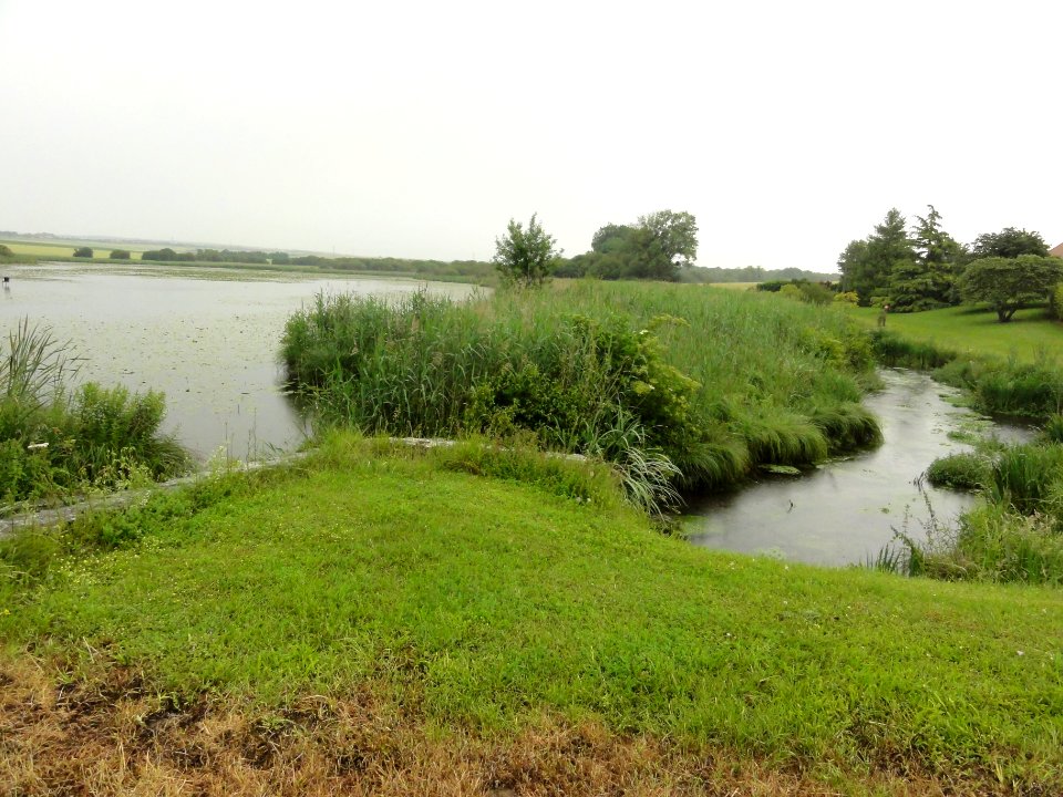 Saosnes (Sarthe) hameau Le Gé Chaussé, étang