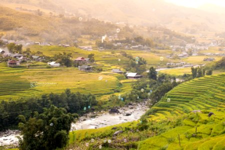Sapa (231751345)