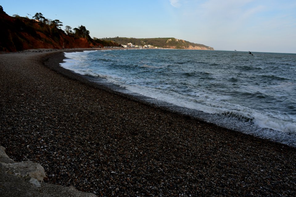 Seaton (2021-04-24) 48