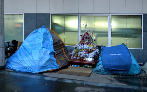 SDF Sapin de Noel Paris 27 12 2012 1