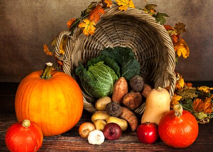 Thanksgiving basket thanksgiving basket