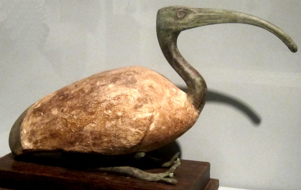 Seated female ibis from Egypt, third intermediate period, 21st to 22nd dynasty, HAA