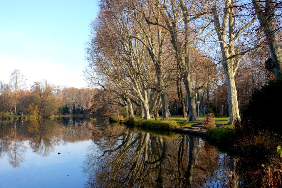 See - Schlossgarten Stuttgart - Stuttgart, Germany - DSC01588