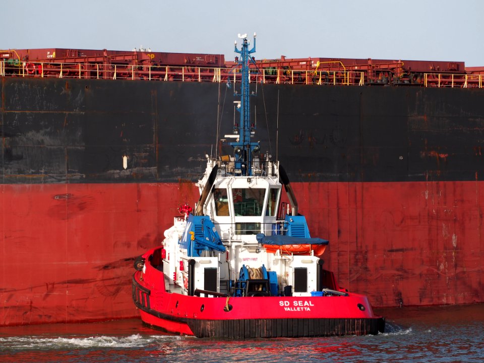 SD SEAL, IMO 9448188 in the Mississippi harbor, Port of Rotterdam, pic6