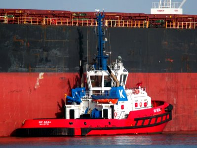 SD SEAL, IMO 9448188 in the Mississippi harbor, Port of Rotterdam, pic10