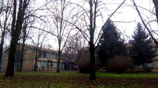 ScuolamediaRivalta 02