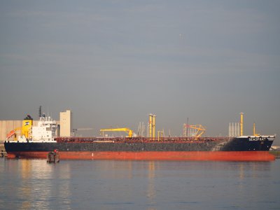 Seasprat (ship, 2007) IMO 9380477, Port of Rotterdam pic2