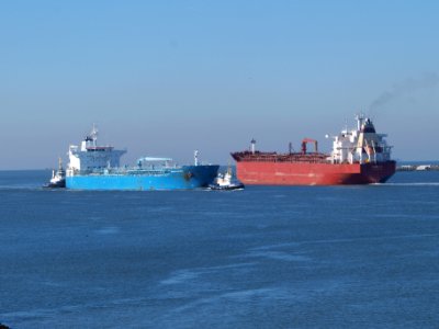 Searose G - IMO 9050096 - Callsign C6UC2 and Minerva Antonia - IMO 7700180 at IJmuiden, Port of Amsterdam photo-1