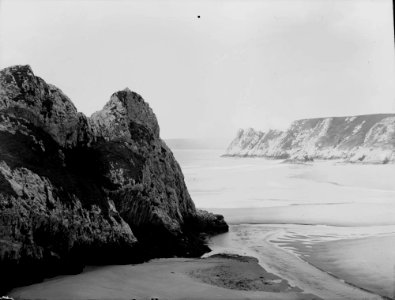Seashore (1293500)
