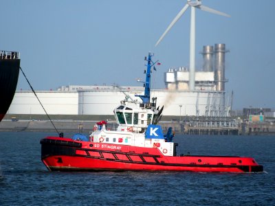 SD STINGRAY, IMO 9448176 in the Mississippi harbor, Port of Rotterdam, pic1