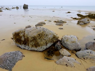 Seashore - East Dennis, MA - 20180512 171042