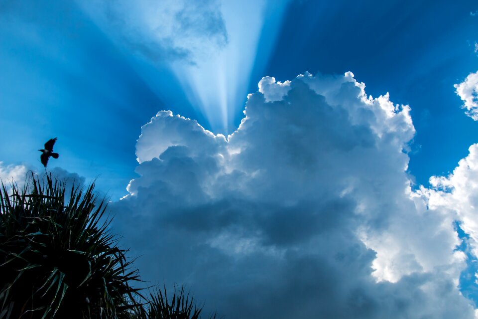 Outdoors silhouette sky