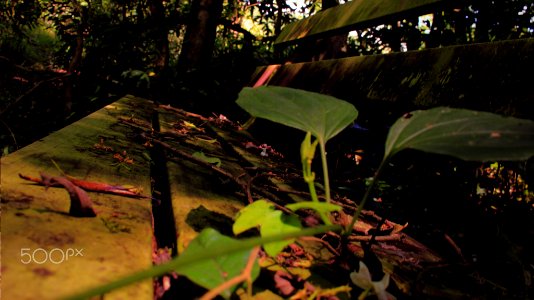 Seat In Nature (187434535)