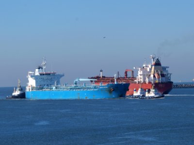 Searose G - IMO 9050096 - Callsign C6UC2 and Minerva Antonia - IMO 7700180 at IJmuiden, Port of Amsterdam photo-2