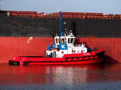 SD SEAL, IMO 9448188 in the Mississippi harbor, Port of Rotterdam, pic2