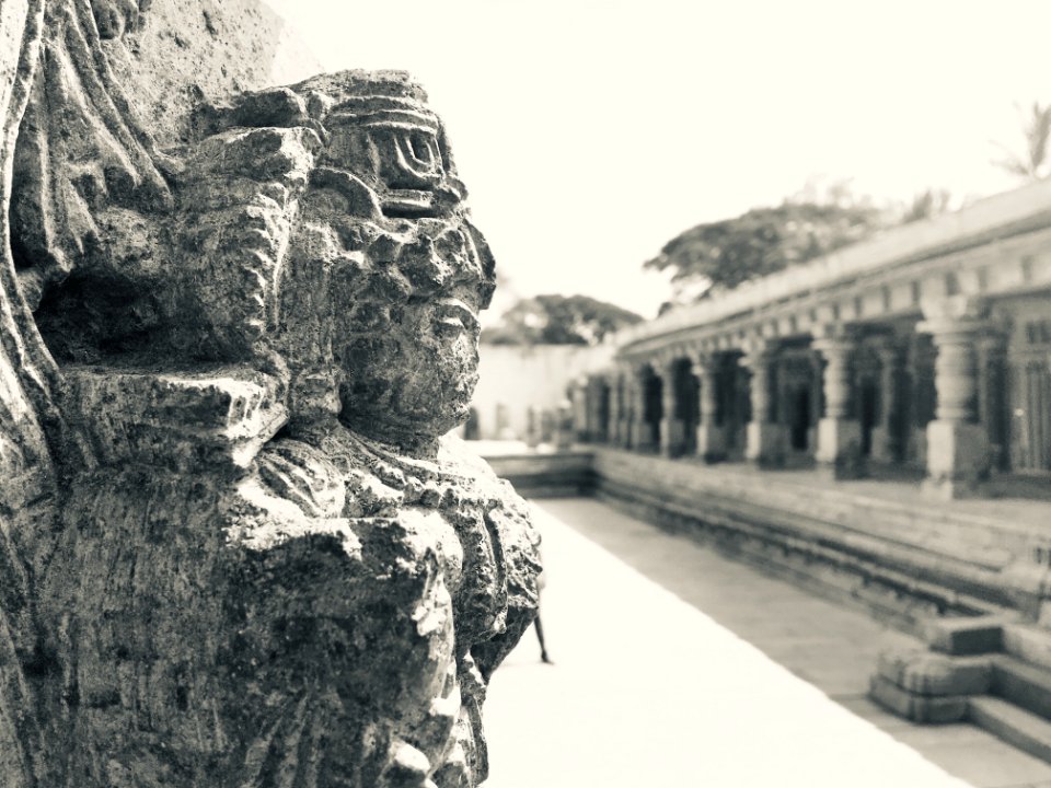 Sculptures at the Kesava Temple, Somnathpur 36