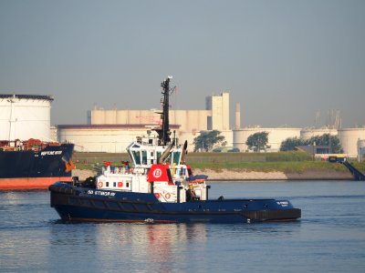 SD Stingray (tugboat, 2008) IMO 9448176, Port of Rotterdam pic2