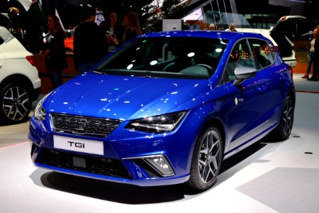 Seat Ibiza 1,0 TGI. Spielvogel photo