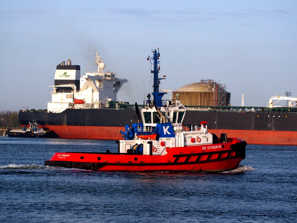SD STINGRAY - IMO 9448176, Calandkanaal, Port of Rotterdam