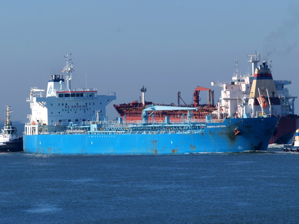 Searose G - IMO 9050096 - Callsign C6UC2 and Minerva Antonia - IMO 7700180 at IJmuiden, Port of Amsterdam photo-3
