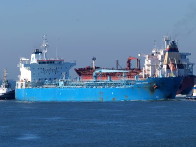 Searose G - IMO 9050096 - Callsign C6UC2 and Minerva Antonia - IMO 7700180 at IJmuiden, Port of Amsterdam photo-3