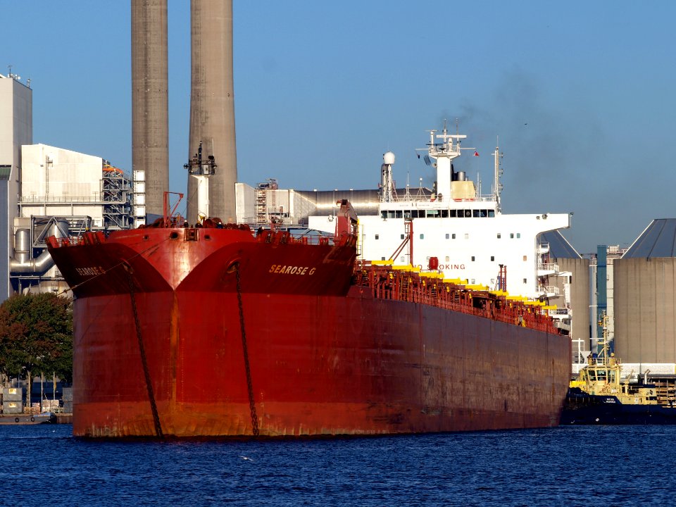 Searose G - IMO 9050096 - Callsign C6UC2, Port of Amsterdam photo-2