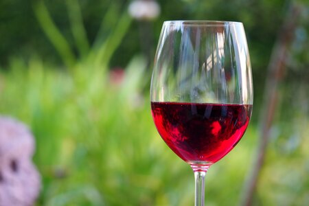 Red wine glass red