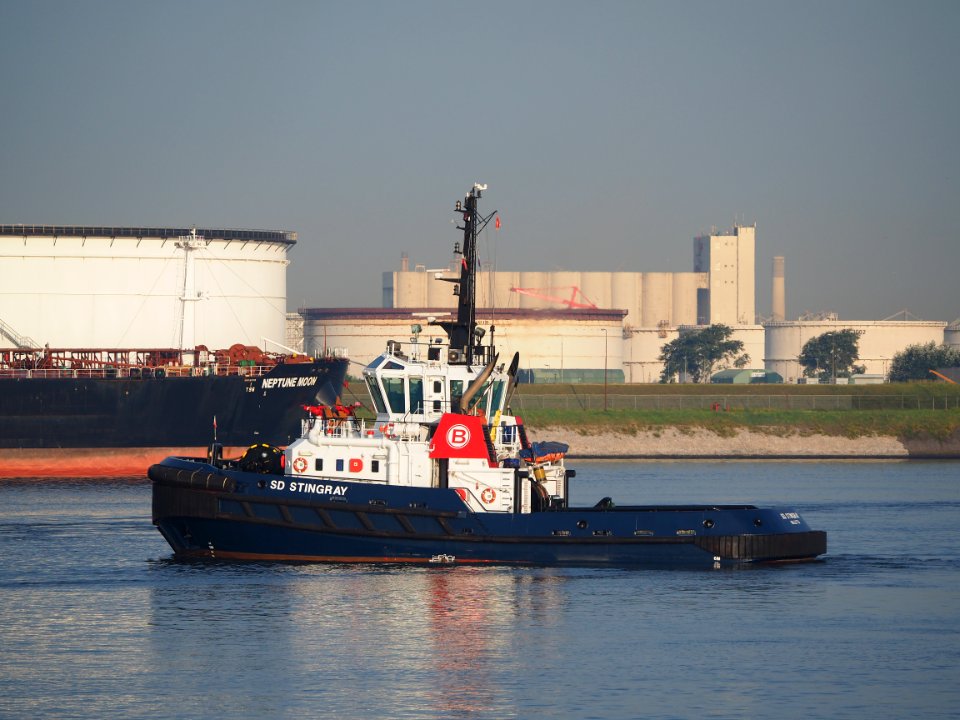 SD Stingray (tugboat, 2008) IMO 9448176, Port of Rotterdam pic3
