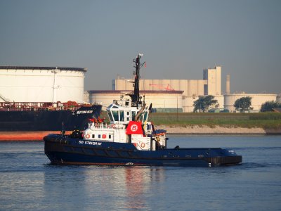 SD Stingray (tugboat, 2008) IMO 9448176, Port of Rotterdam pic3