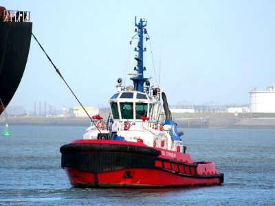 SD STINGRAY, IMO 9448176 in the Mississippi harbor, Port of Rotterdam, pic8