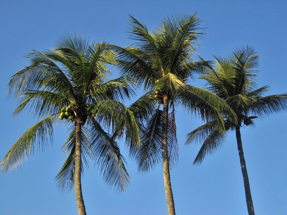 Blue blue sky caribbean