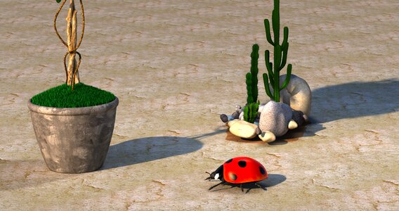 Garden stones mosaic