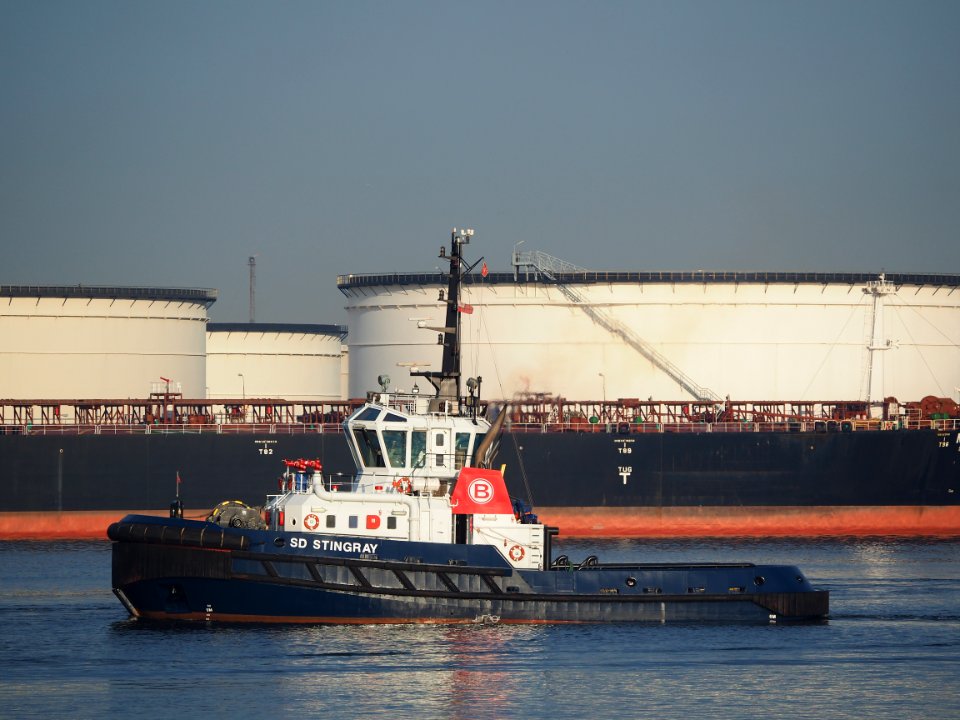 SD Stingray (tugboat, 2008) IMO 9448176, Port of Rotterdam pic4