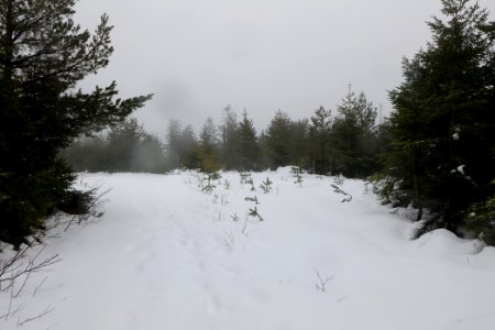 Seekopf 2020-03-10 21