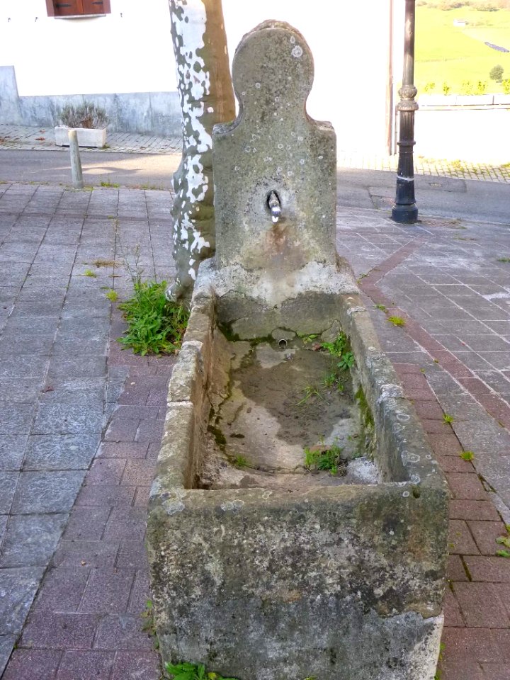Segura - fuente 1