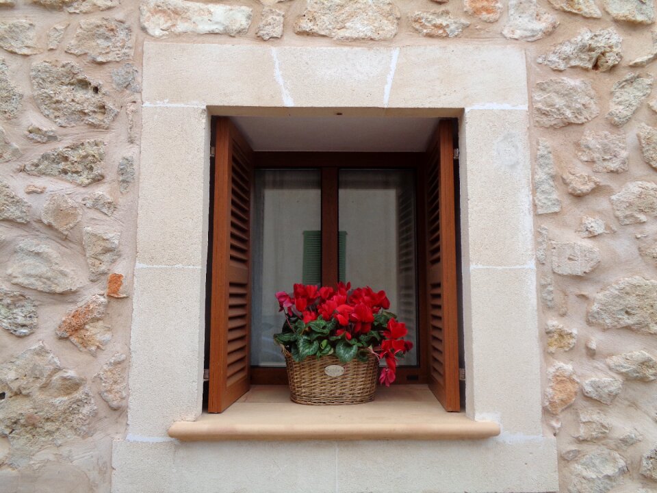 Basket cheerful window rustic