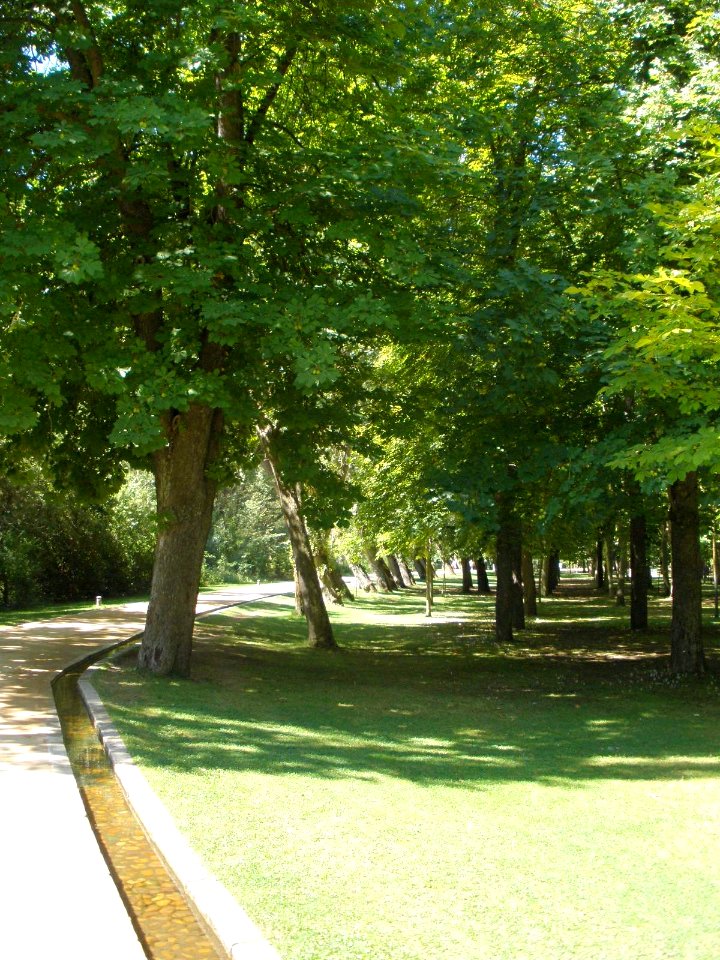 Segovia - Paseo de la Alameda del Parral 29