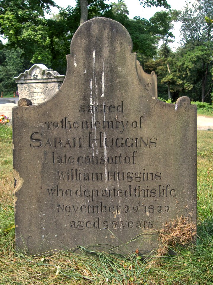 Sarah Huggins Tombstone, Hiland Cemetery, 2015-08-17, 02