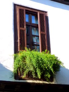 Segura - 222