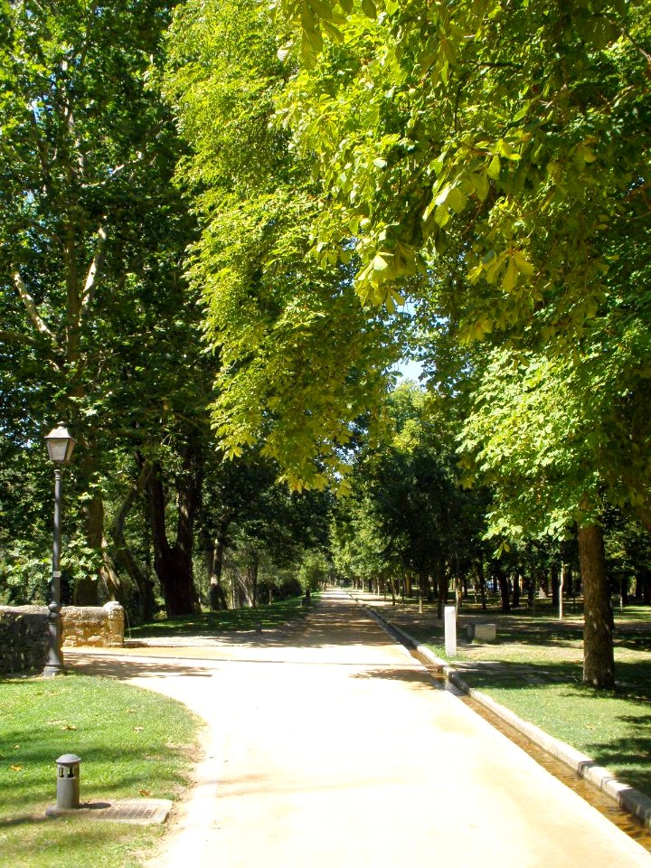 Segovia - Paseo de la Alameda del Parral 30