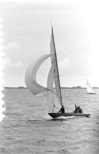 Seaweek 1959 in Den Helder , koppen van Admiraal Burghart , commandant zeemacht,, Bestanddeelnr 910-5317