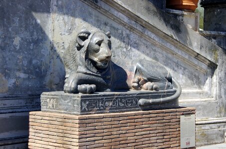 Lion nectanebo antique