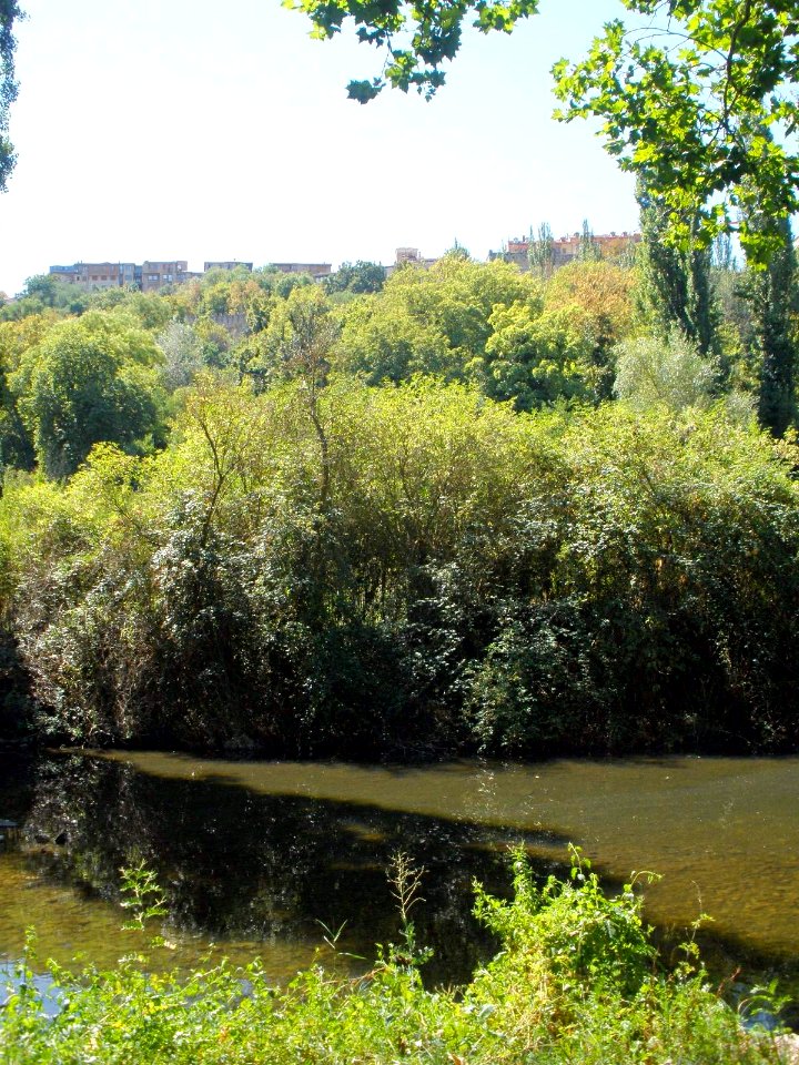 Segovia - Paseo de la Alameda del Parral 32