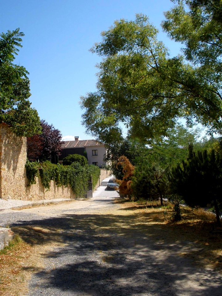 Segovia - Monasterio de San Vicente el Real 10