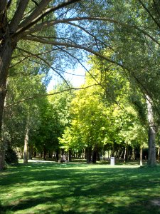 Segovia - Paseo de la Alameda del Parral 28